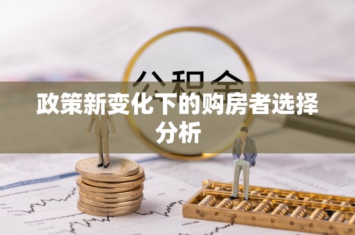上甘岭政策新变化下的购房者选择分析